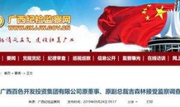 百色今日爆料信息最新查询,揭秘今日热点事件！”