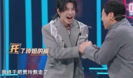 王少伟节目爆料视频播放,揭秘幕后的精彩瞬间