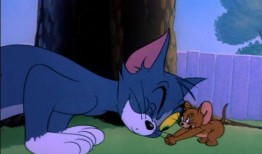 猫与老鼠爆料视频,一场跨越时空的欢乐对决