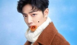 今天热点爆料肖战视频下载,揭秘背后真相与热议