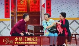 春晚总导演爆料视频大全,幕后故事与精彩瞬间大盘点